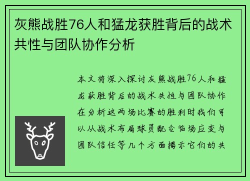 灰熊战胜76人和猛龙获胜背后的战术共性与团队协作分析
